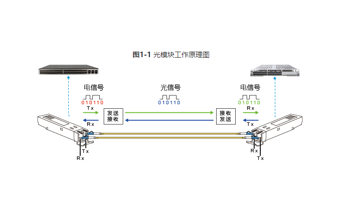 中國廣電兩項光纜產品集中采購項目公示，長飛、烽火、亨通等多家企業(yè)中標-美佳特科技